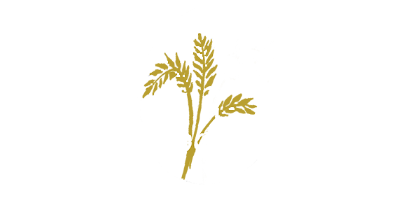 logo company